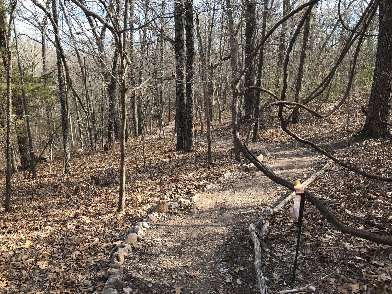 Eagle Scout’s hard work, tenacity yield accessible nature trail near St 